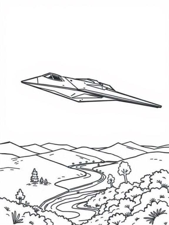 stealth bomber in landscape